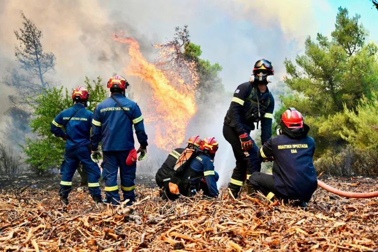Firefighters combat Greek blaze